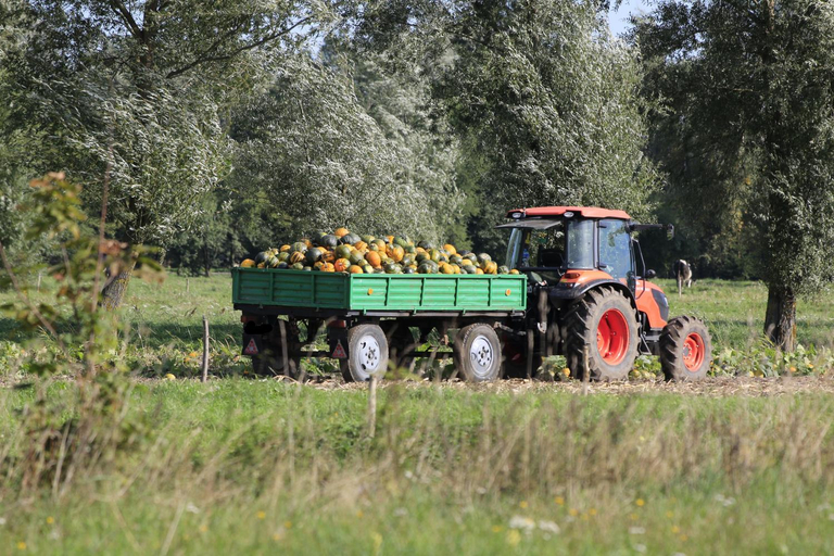 Others 5, Agroturystyka Zulawiaczek, Nowy Dwór Gdański