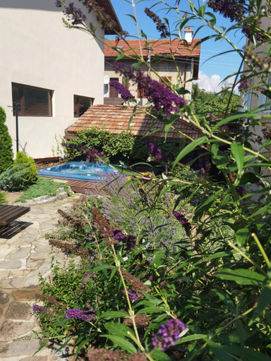 Others 2, Mira Guest House, Bansko