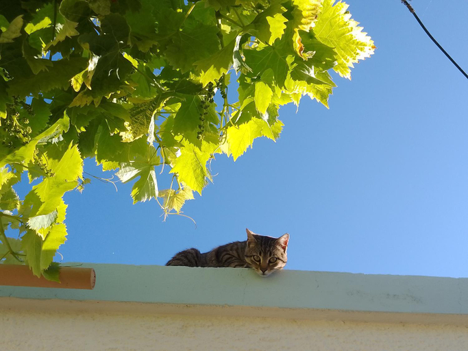 Others 5, Lispusada Agriturismo Adults Only, Sassari