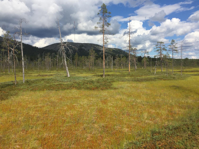 Others 2, Ankkalinna, Lapland