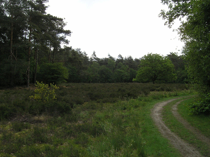 Others 3, Holiday Home with Garden in Den Ham, Twenterand