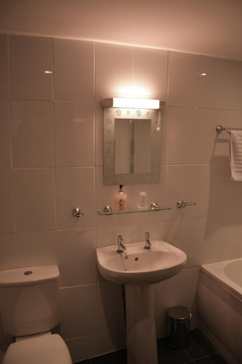 Bathroom 3, Llanerch Inn, Powys