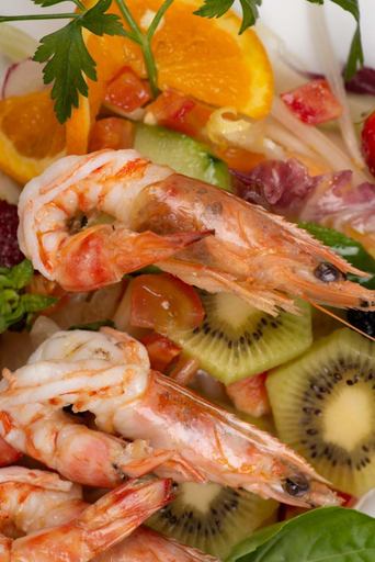 Food & Drinks 5, Vivo Hotel, Pistoia