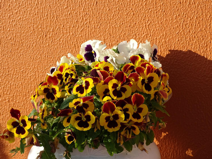 Food & Drinks 5, HAUS NUNES by Stay in Alentejo, Odemira