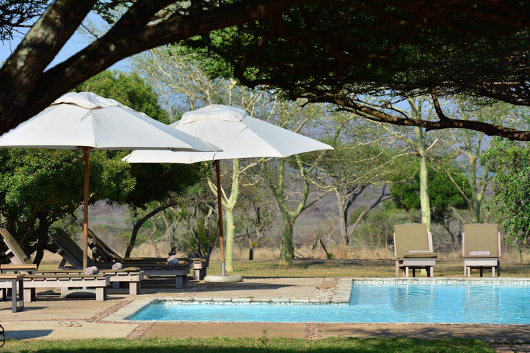 Swimming Pool 3