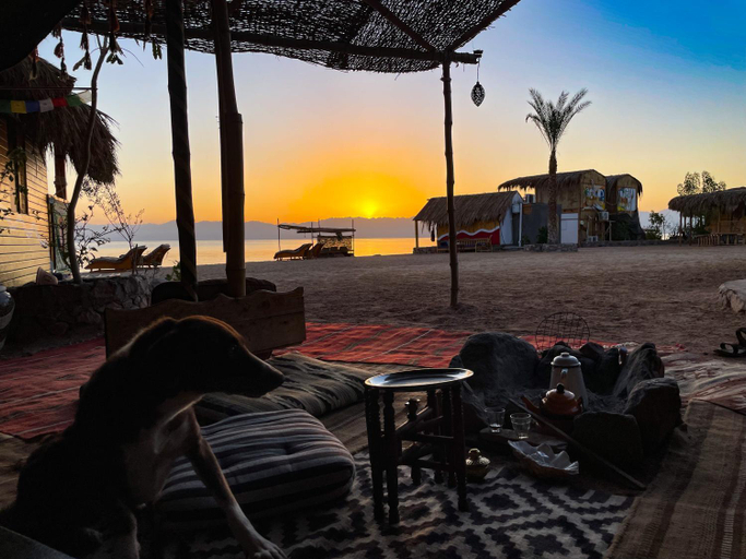 Food & Drinks 4, Live the bedouinlife, Nuweiba'