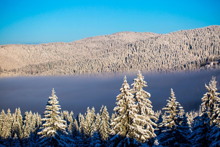 Others 4, Sunny Hills Ski&Wellness, Smolyan