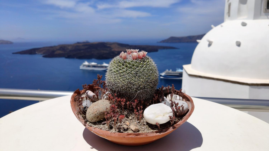 Food & Drinks 5, Sofi Rooms, South Aegean