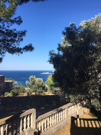 Others 2, Apartman Novica
