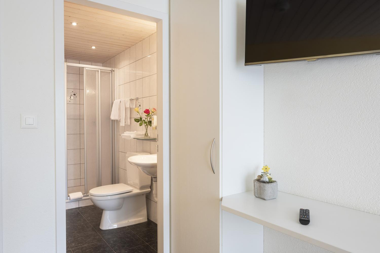 Bathroom 3, Hotel Bahnhof Zollikofen, Bern