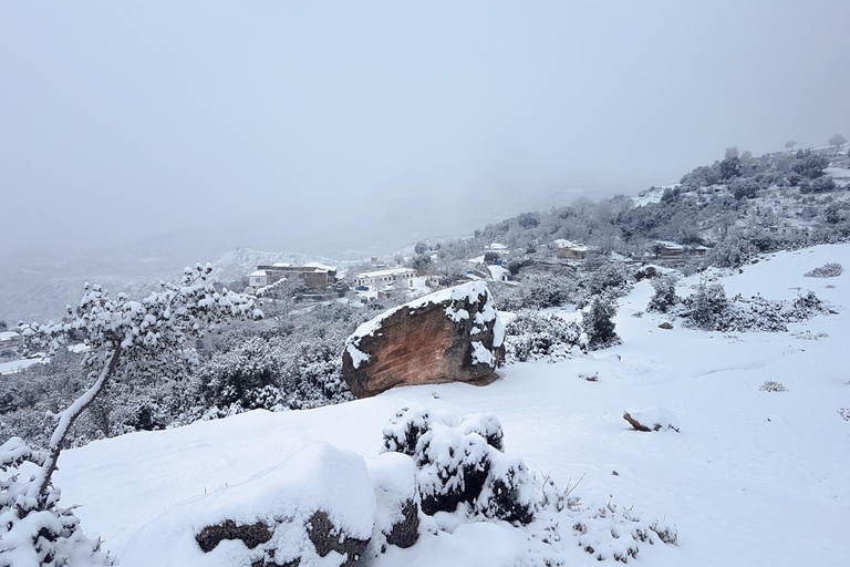 Surrounding environment