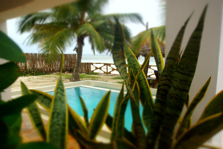 Sport & Beauty, AMANI BEACH VILLA, Kusini