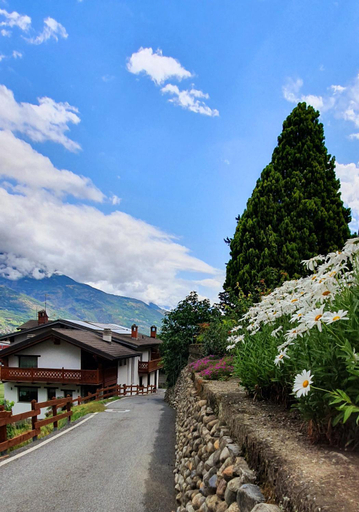Exterior & Views 2, Agriturismo B&B Chevres a Cheval, Aosta
