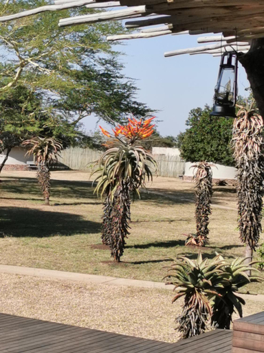 Scenery 15