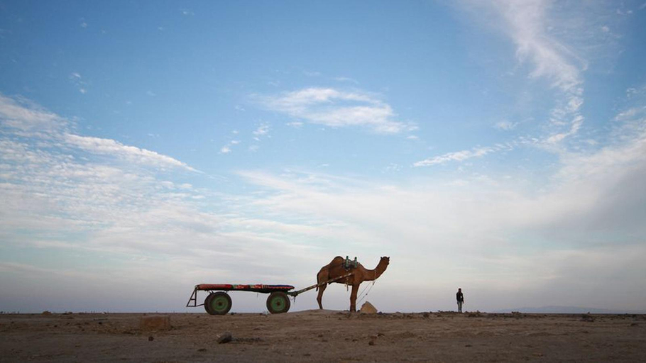 Others 5, Hodka Rann Stay, Kachchh