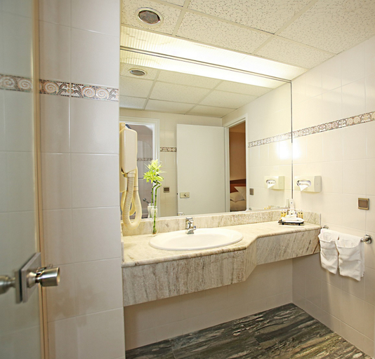 Others 4, Millennium Hotel Paris Charles De Gaulle, Val-d'Oise