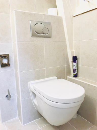 Bathroom 3, Little Tulip, Amsterdam
