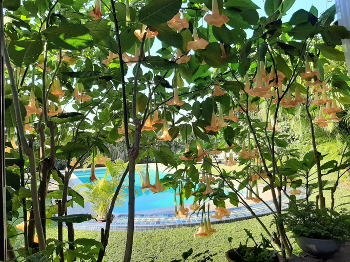 Others 2, FIGTREE GUESTHOUSE, Maputo