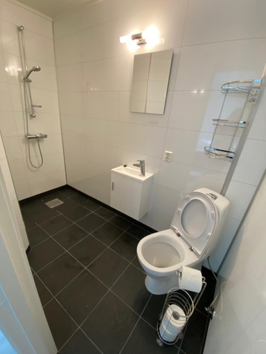 Bathroom 3, The house on the lake, Evenes