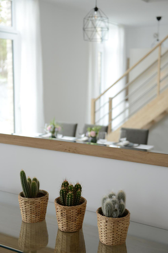 Others 5, Robert, Liège