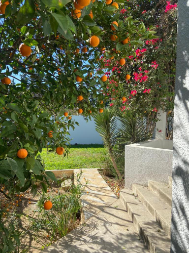 Exterior & Views 3, carmella, La Marsa
