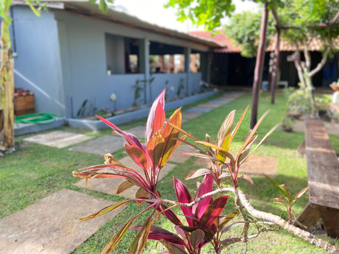 Ricatins, Barreirinhas
