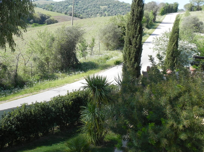 View 4, B&B Monte Di Bù, Grosseto