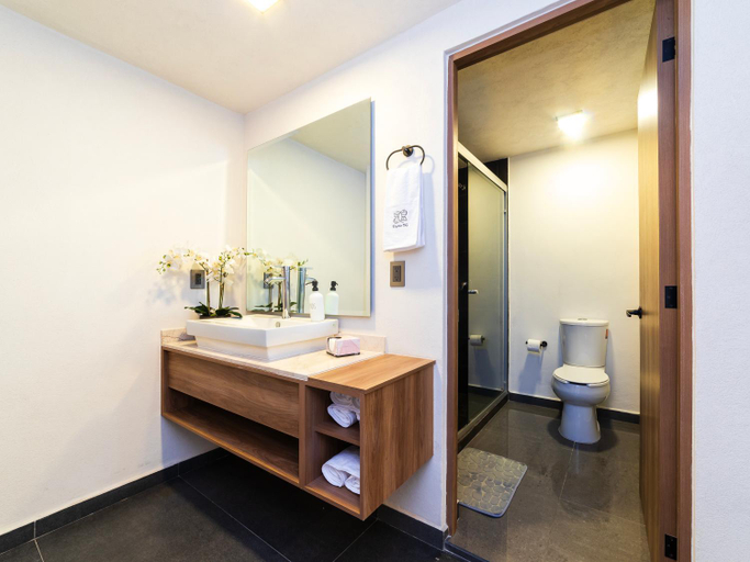 Bathroom 3, Edificio Piso 56, Mexico City