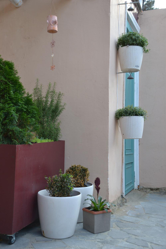 Food & Drinks 5, Gvino Minda, Tbilisi