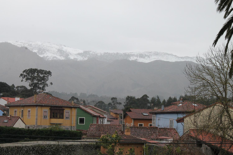 Others 3, Llanes International Hostel, Asturias
