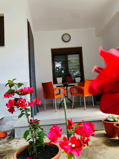 Others 5, SALA Apartments, Shkodrës