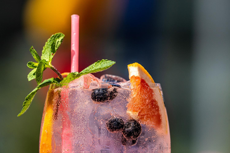 Food & Drinks 5, HOTEL DUNAREA, Constanta