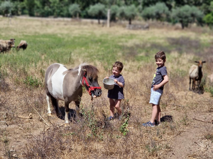 Others 3, Arca dos Animais - Farming & SPA, Castelo Branco