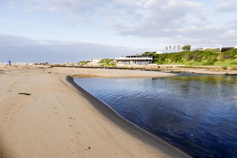 Others 4, Shalom Self Catering, Overberg