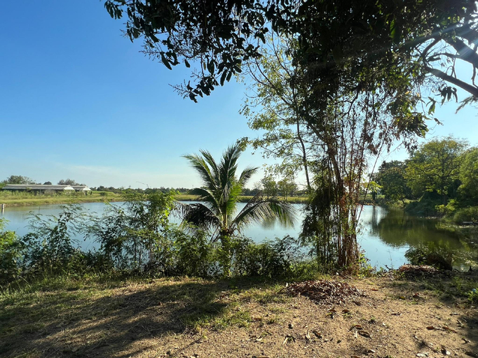 Scenery 5