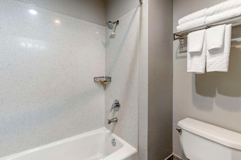 Bathroom 5