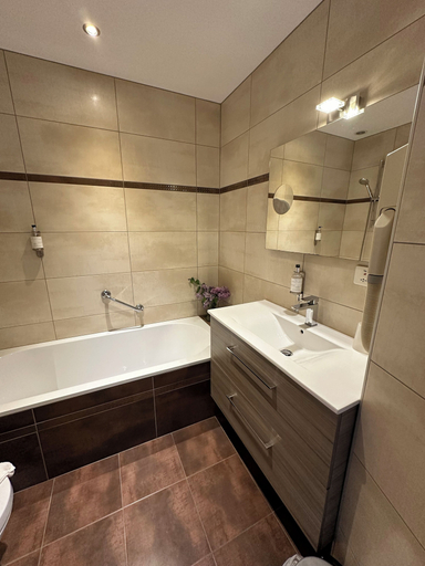 Bathroom 4, Au Nid de Cigognes, Haut-Rhin