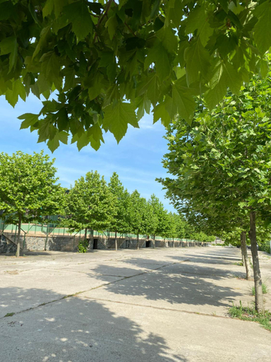 Others 5, BC Aprilia, Corbu