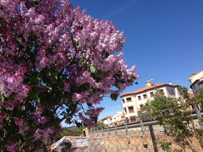 Surrounding environment 3, Encanto de Aragon, Teruel