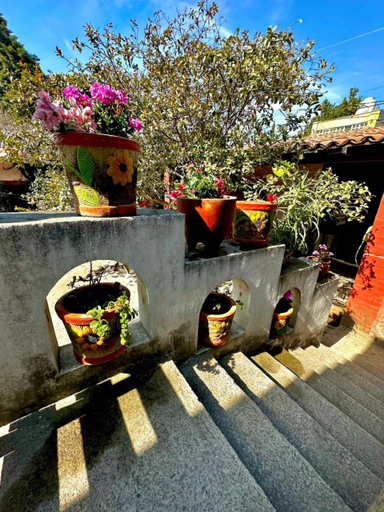 Others 3, Vive en un rancho, San Nicolás de los Ranchos