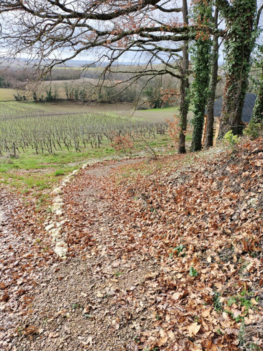 Scenery 18