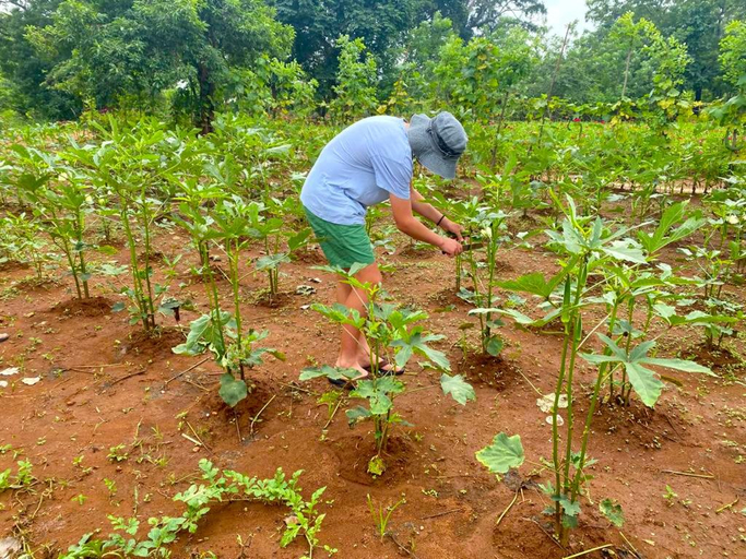 Others 5, MONI FARM HOUSE WILPATTU, Nochchiyagama