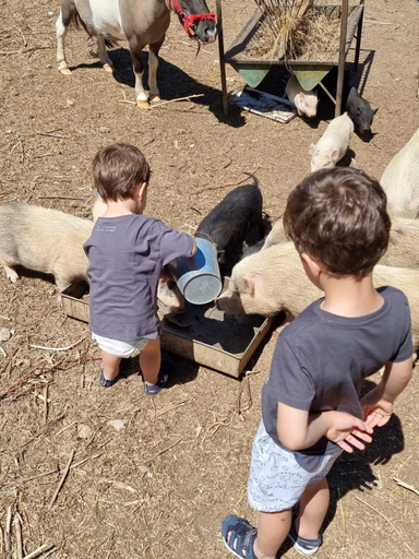 Others 4, Arca dos Animais - Farming & SPA, Castelo Branco