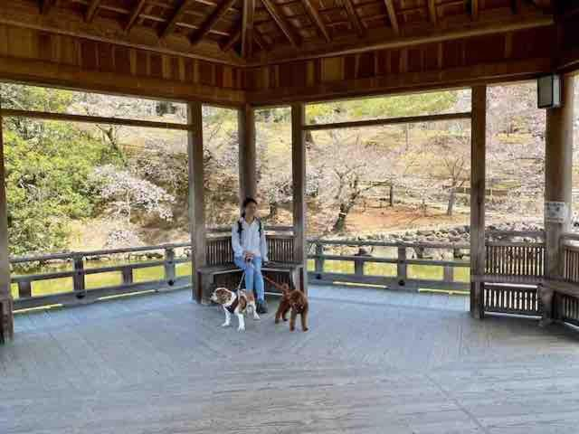 Others 3, Residence Ferie Nara station, Nara