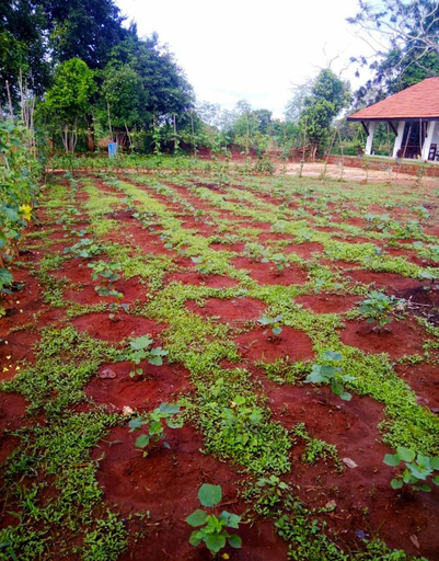 Others 3, MONI FARM HOUSE WILPATTU, Nochchiyagama