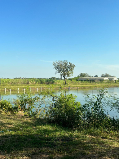 Scenery 4