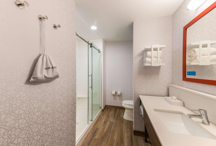 Bathroom 3, Hampton Inn & Suites by Hilton Benton Harbor, Berrien