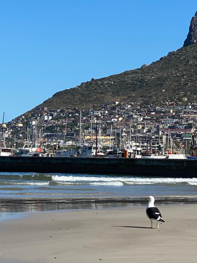 Others 5, Best Place Ever, City of Cape Town