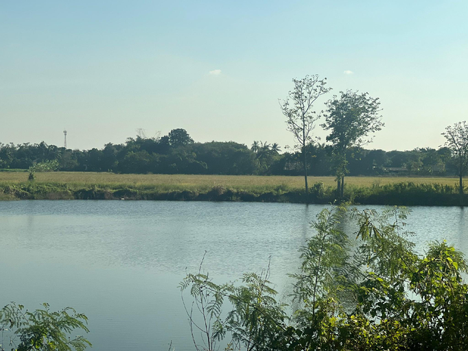 Scenery 2