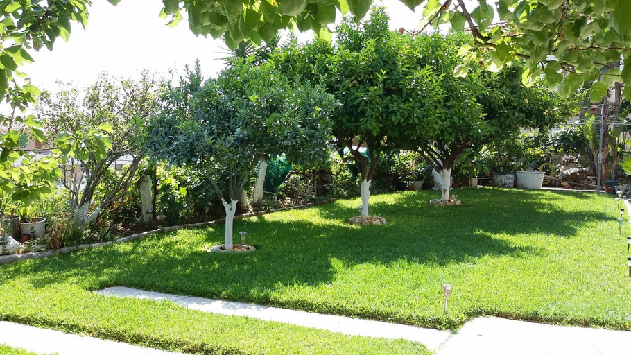 Others 3, Makis Studios & Apartments, Ionian Islands